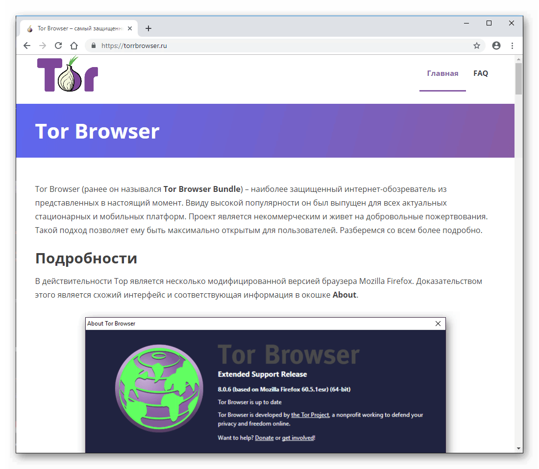 tor browser запретить попасть на гидру