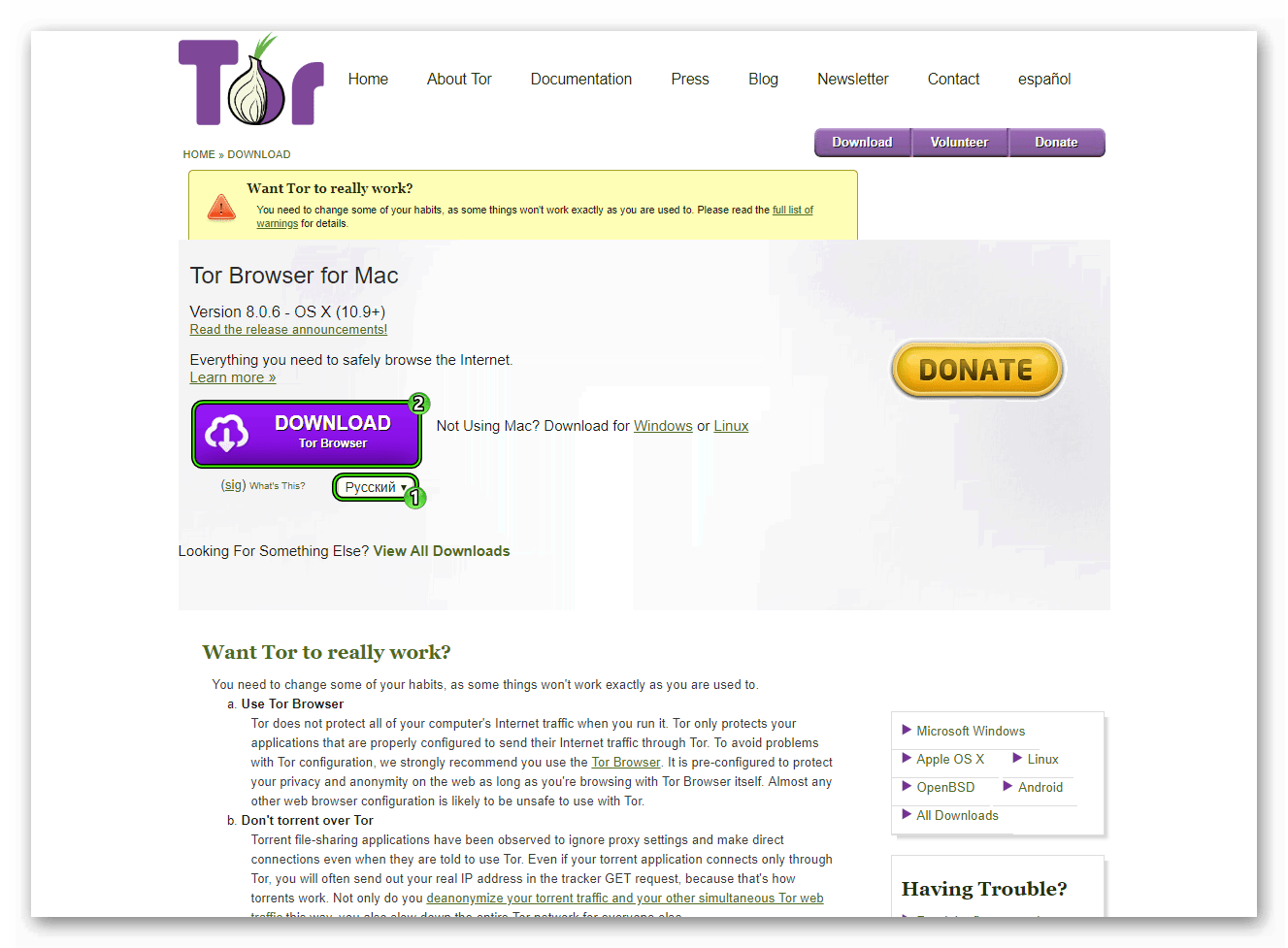 русскоязычный tor browser mega