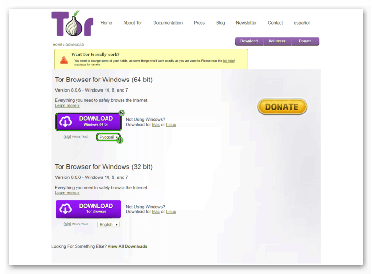 Tor browser 64 bit для windows скачать hyrda anthill tor browser гирда